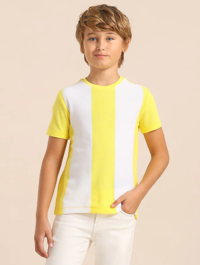 Boys Colorblocked Regular Fit T-Shirt