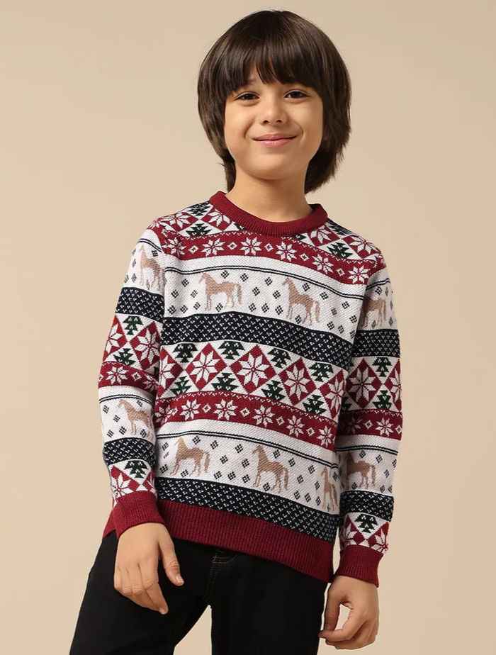 Boys All Over Printed Regular Fit Sweater