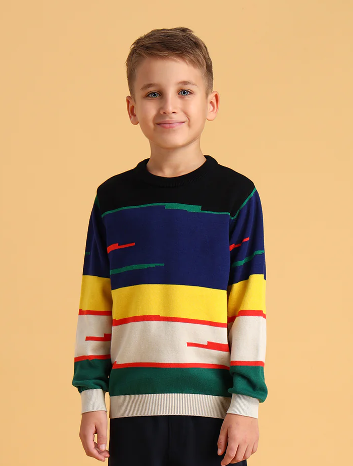 Boys Cotton Regular Fit Sweater