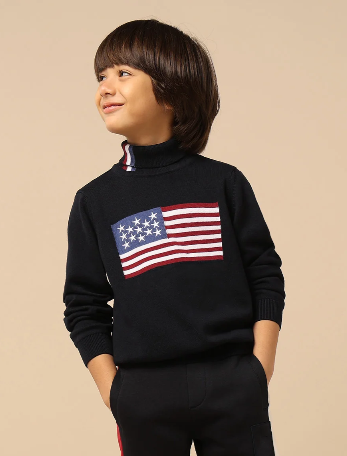 Boys Regular Fit Printed Turtle Neck Sweater