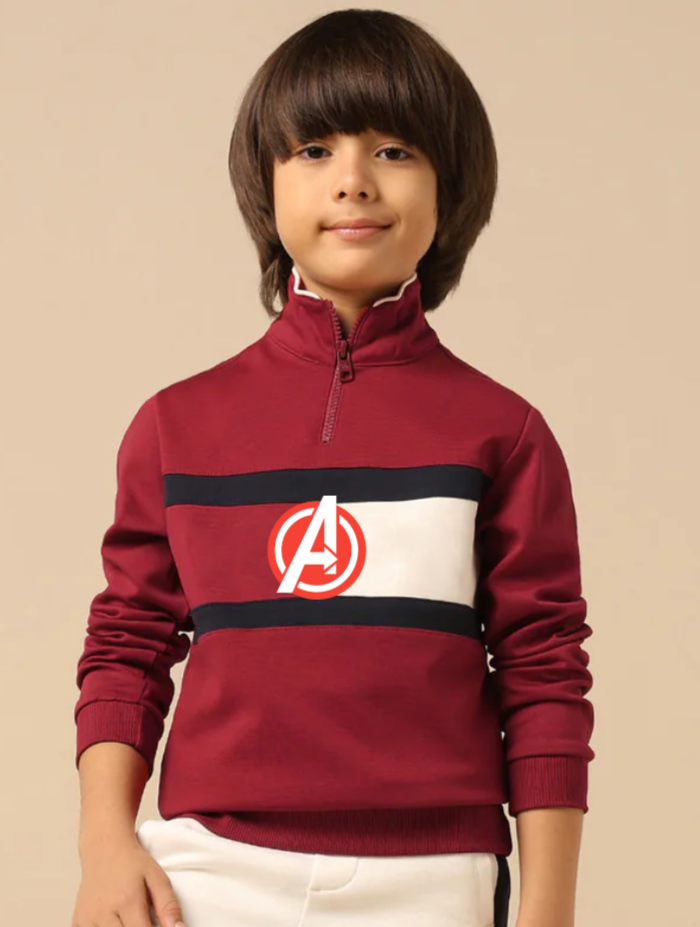 Boys Regular Fit Sweatshirt