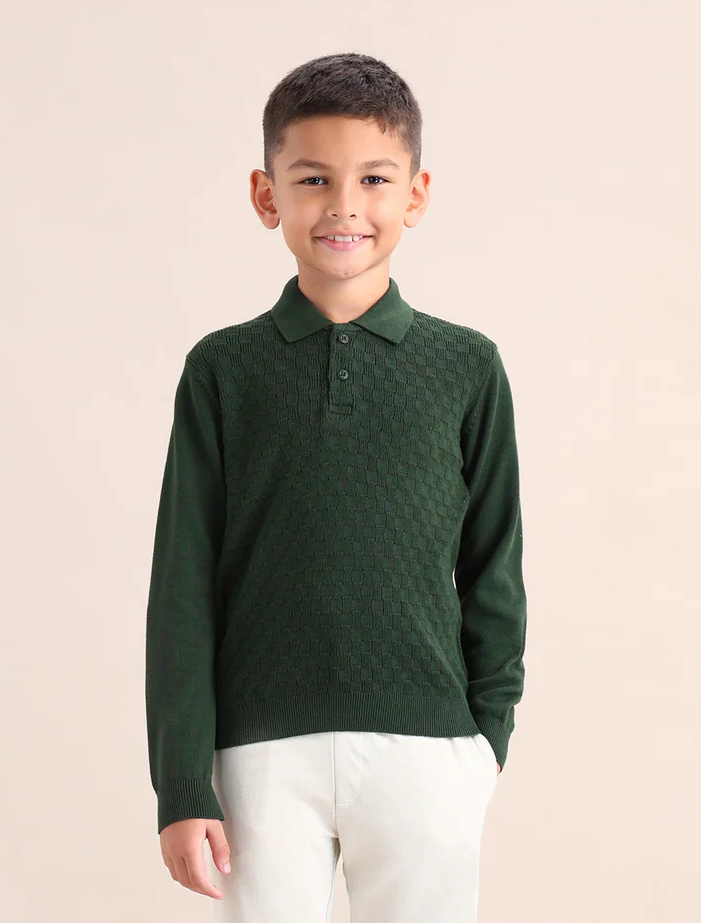 Boys Textured Regular Fit Sweater
